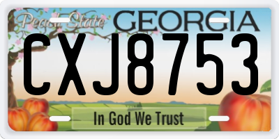 GA license plate CXJ8753