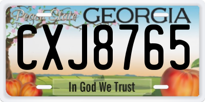 GA license plate CXJ8765