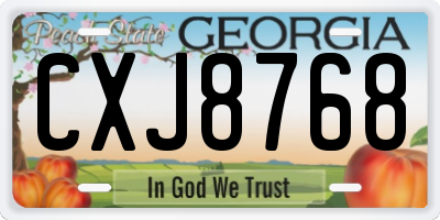 GA license plate CXJ8768
