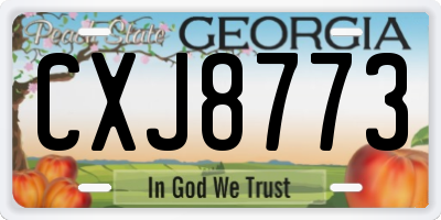GA license plate CXJ8773