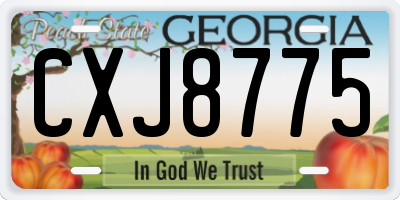 GA license plate CXJ8775