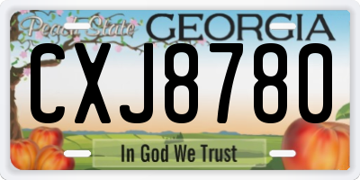 GA license plate CXJ8780