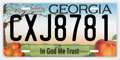 GA license plate CXJ8781