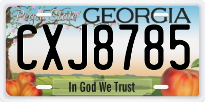 GA license plate CXJ8785
