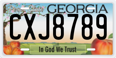 GA license plate CXJ8789