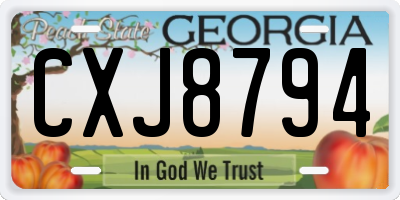 GA license plate CXJ8794