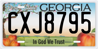 GA license plate CXJ8795