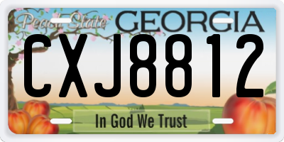 GA license plate CXJ8812