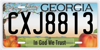 GA license plate CXJ8813