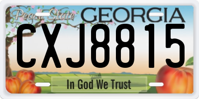 GA license plate CXJ8815