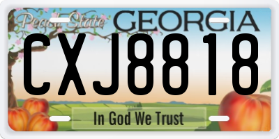 GA license plate CXJ8818