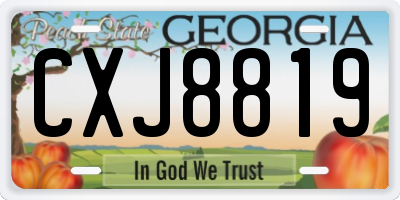 GA license plate CXJ8819