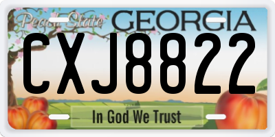 GA license plate CXJ8822