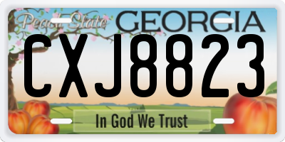 GA license plate CXJ8823