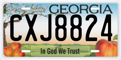 GA license plate CXJ8824