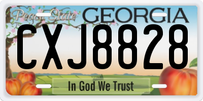 GA license plate CXJ8828
