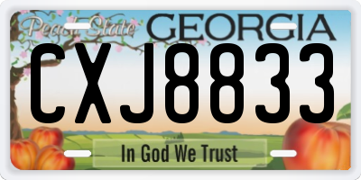 GA license plate CXJ8833