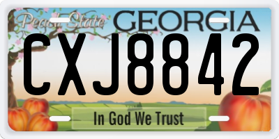 GA license plate CXJ8842