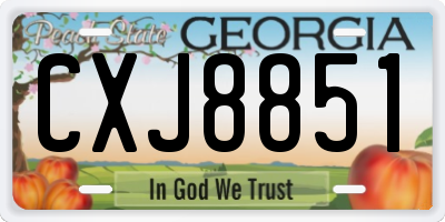 GA license plate CXJ8851