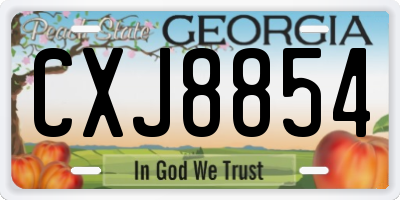 GA license plate CXJ8854
