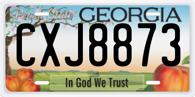 GA license plate CXJ8873