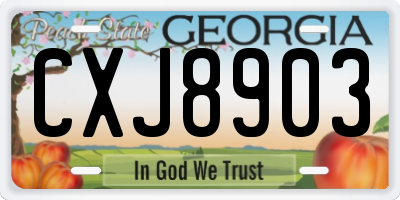 GA license plate CXJ8903