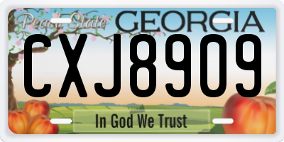 GA license plate CXJ8909