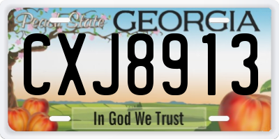 GA license plate CXJ8913