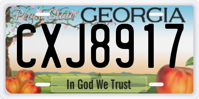 GA license plate CXJ8917