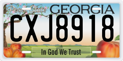 GA license plate CXJ8918