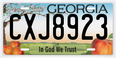GA license plate CXJ8923