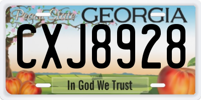 GA license plate CXJ8928