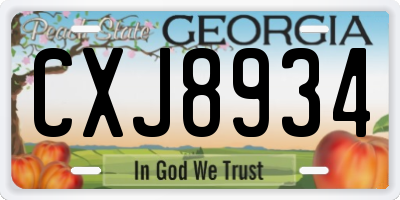 GA license plate CXJ8934