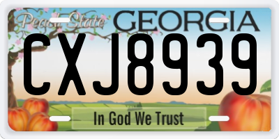 GA license plate CXJ8939