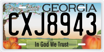 GA license plate CXJ8943