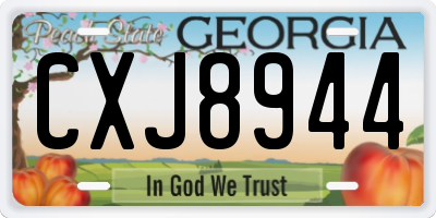 GA license plate CXJ8944