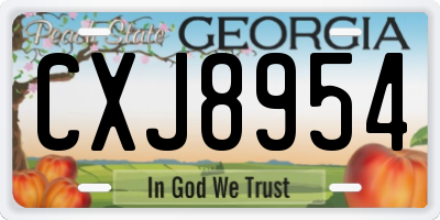 GA license plate CXJ8954