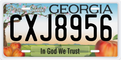 GA license plate CXJ8956