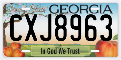 GA license plate CXJ8963