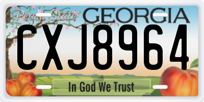 GA license plate CXJ8964
