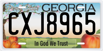 GA license plate CXJ8965