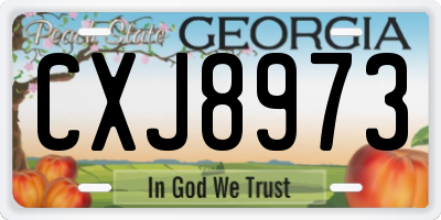 GA license plate CXJ8973