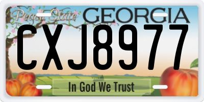 GA license plate CXJ8977