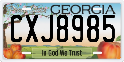GA license plate CXJ8985