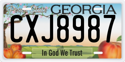 GA license plate CXJ8987