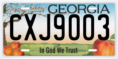 GA license plate CXJ9003