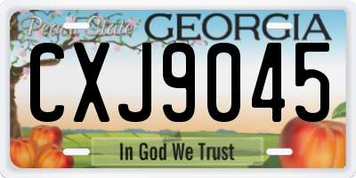 GA license plate CXJ9045