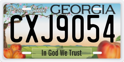 GA license plate CXJ9054