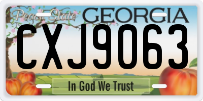 GA license plate CXJ9063