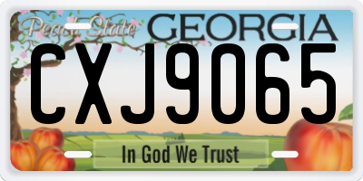 GA license plate CXJ9065